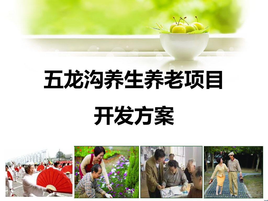 [五龙沟]养生养老项目开发方案