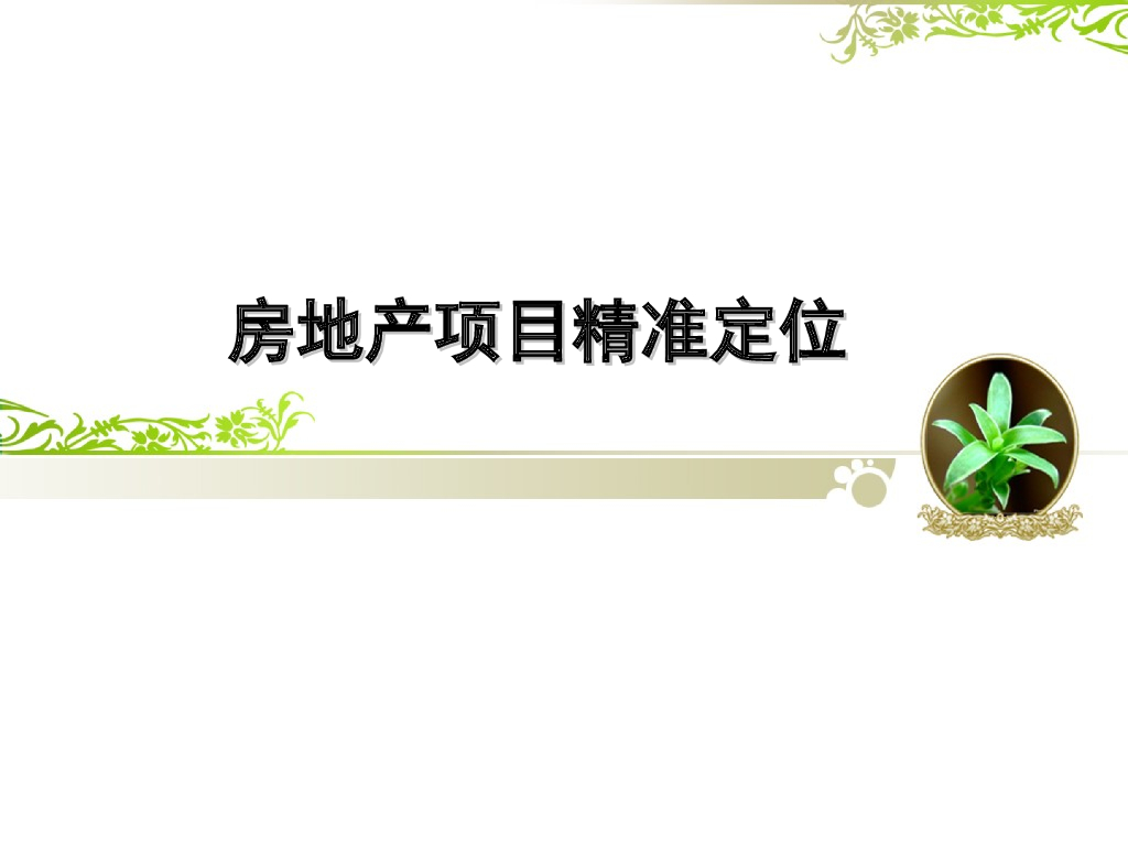 房地产项目精准定位（共63页）