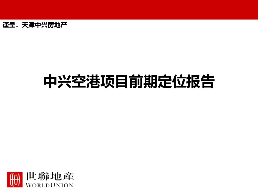 中兴空港项目前期定位报告（共85页）