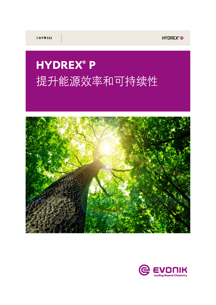 HYDREX：提升<em>能源</em>效率和可持续性 海报