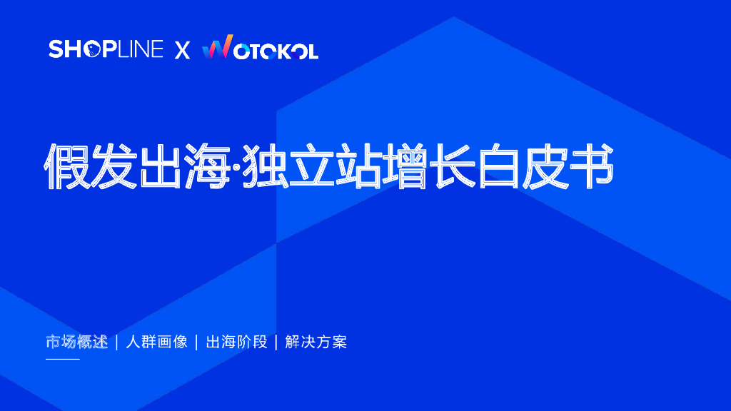 卧兔：2023假发出海·独立站增长白皮书