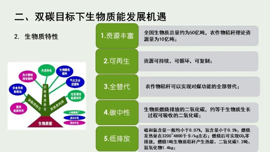 肖明松：碳中和的能源路径与生物质能产业突破_第9页