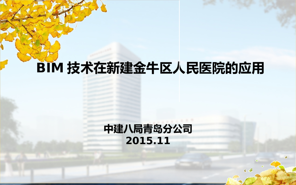 【精品】BIM技术在新建金牛区人民医院的应用