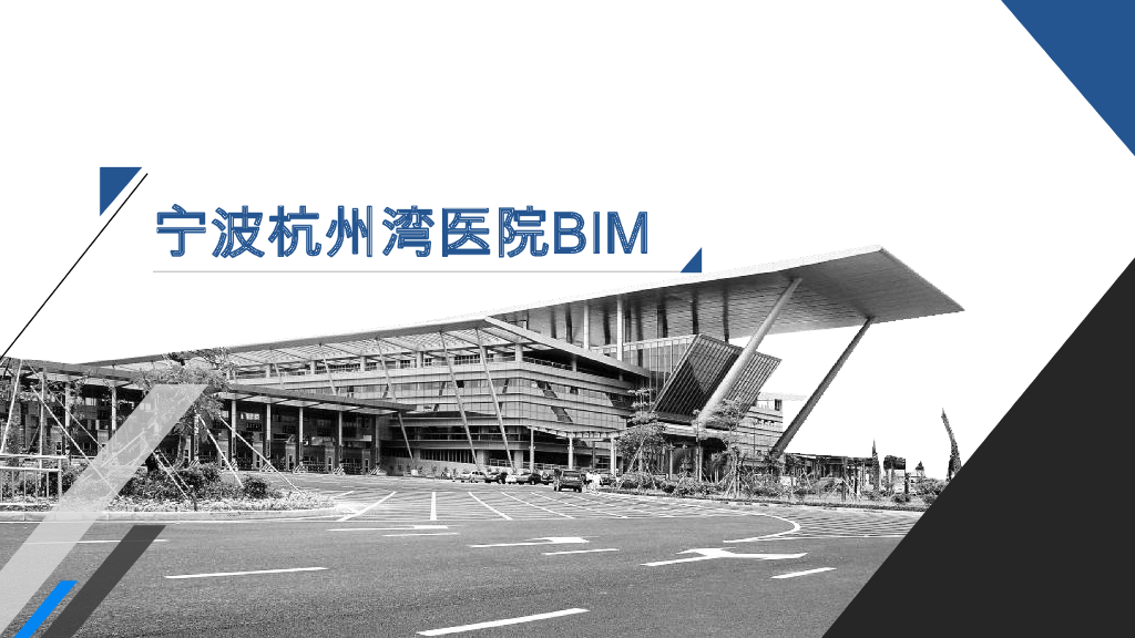 宁波杭州湾医院BIM应用汇报方案