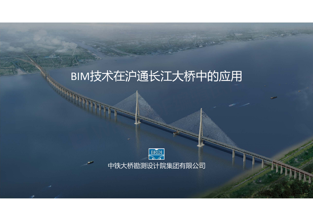 BIM技术在沪通长江大桥中的应用PDF
