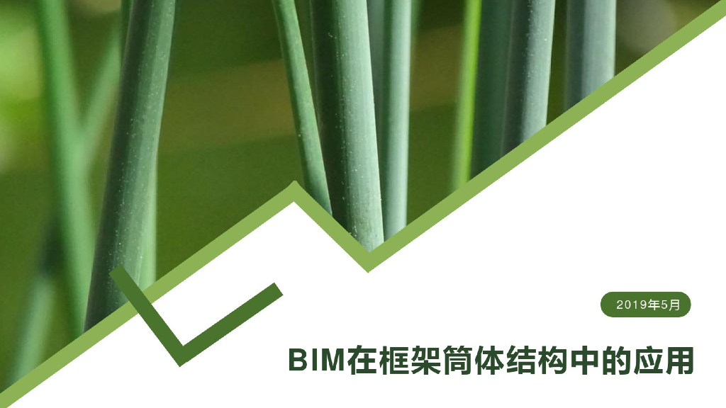 BIM在框架筒体结构中的应用(51页)