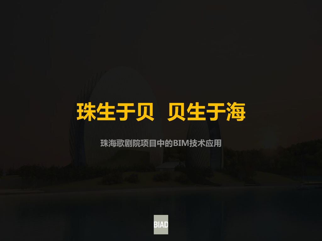 歌剧院项目中的BIM技术应用(127页)