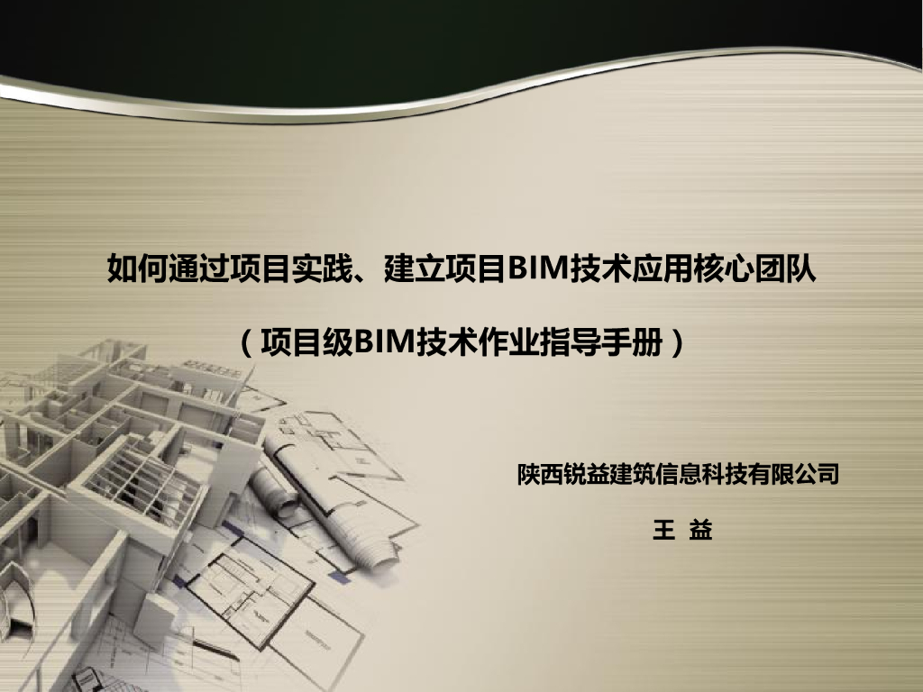 项目级BIM技术作业指导手册(项目实践)