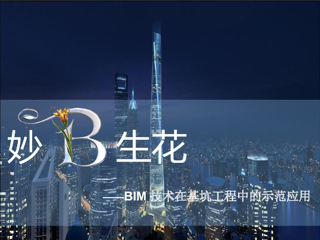 BIM技术在基坑工程中的示范应用（51页）