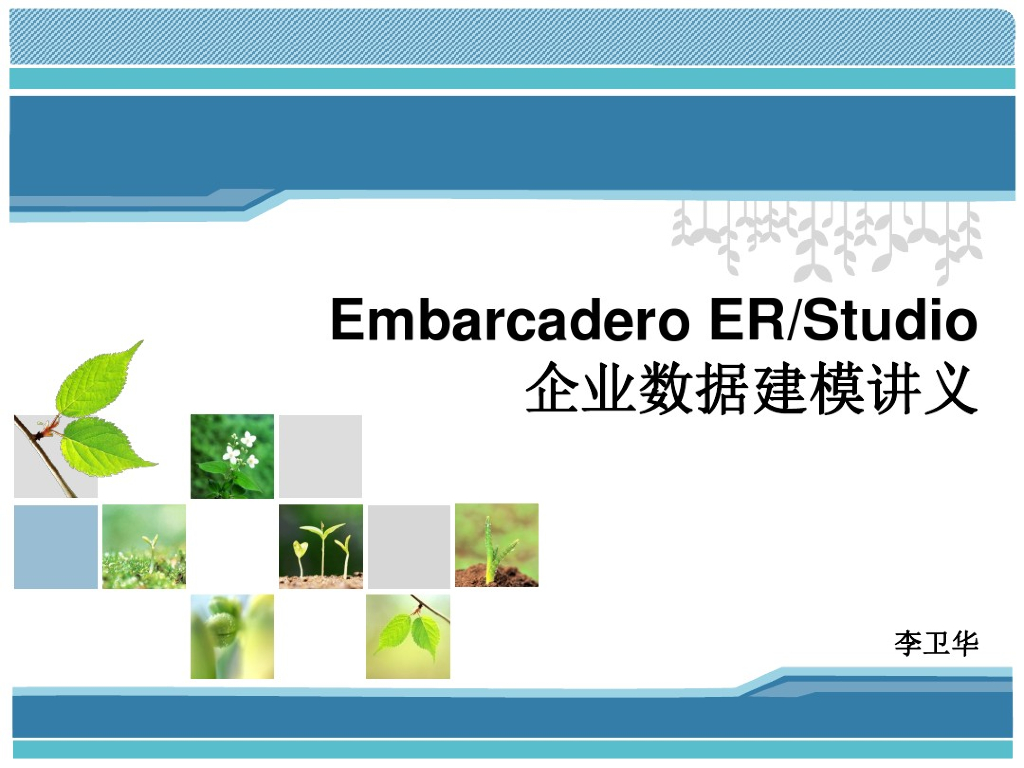 ER数据建模