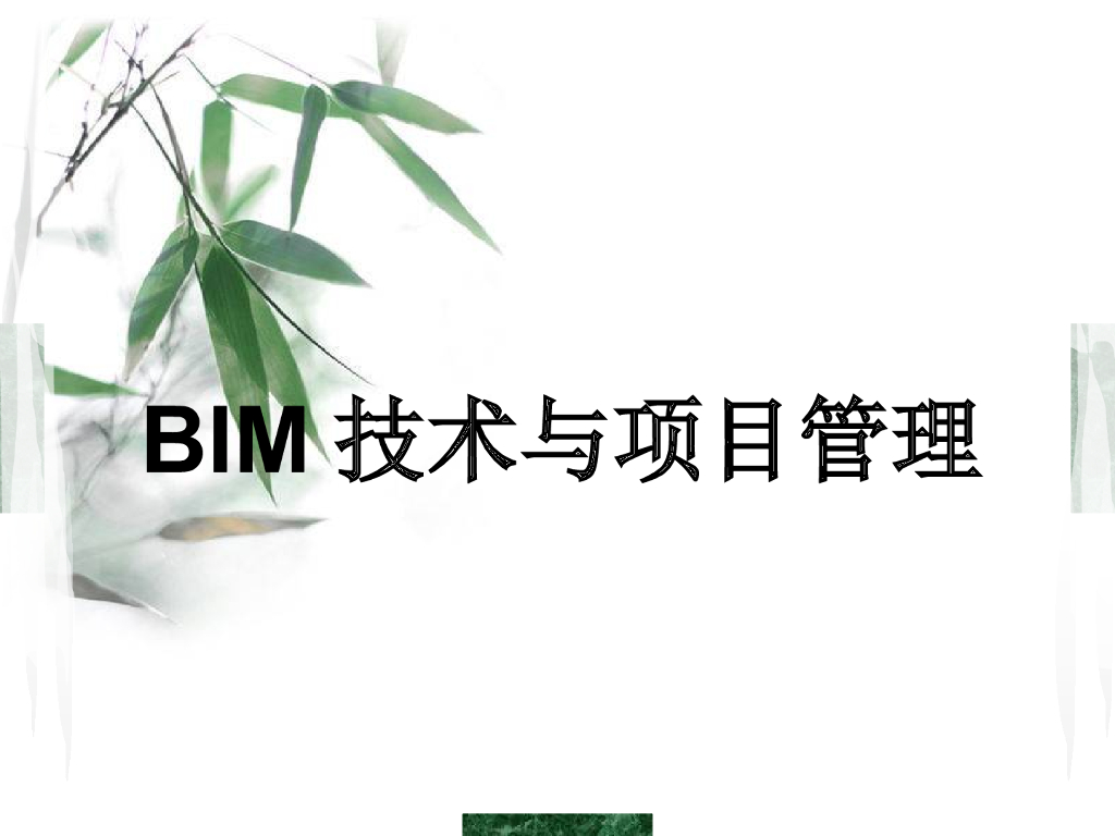 BIM技术与项目管理