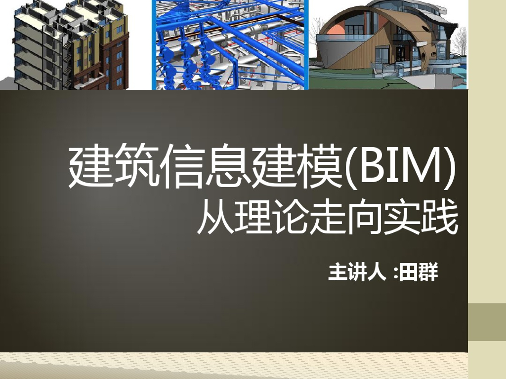 建筑信息建模（BIM）从理论走向实践（107页）