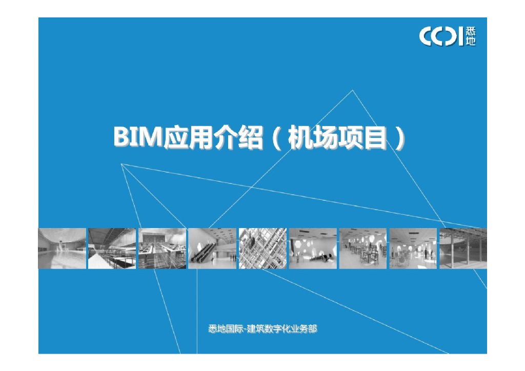 BIM应用图文介绍（机场项目）