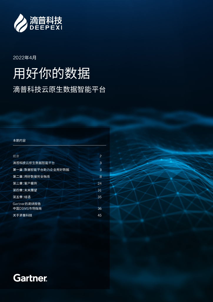 滴普科技&Gartner：用好你的数据白皮书