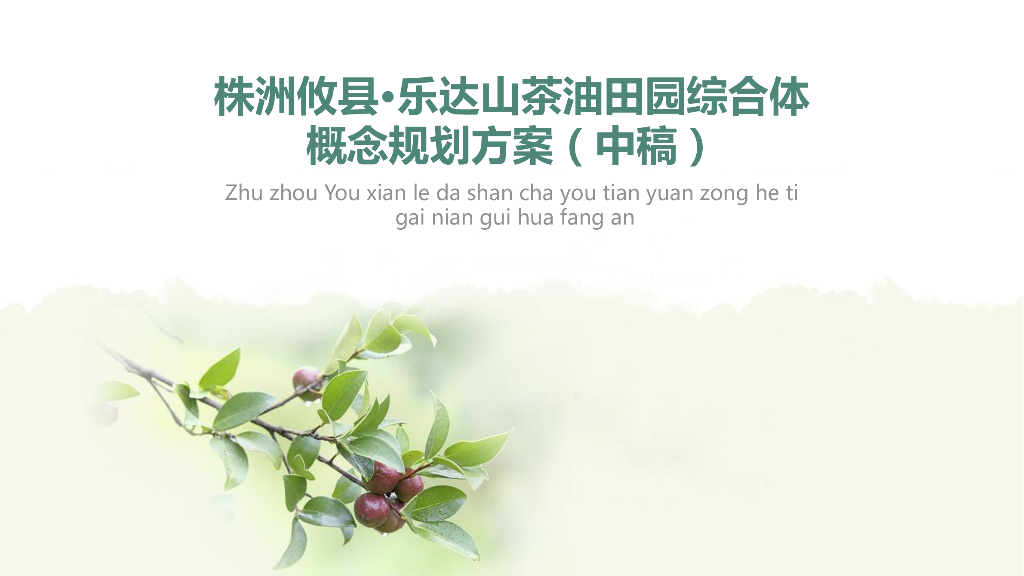 [湖南]株洲市攸县乐达山茶油田园概念规划