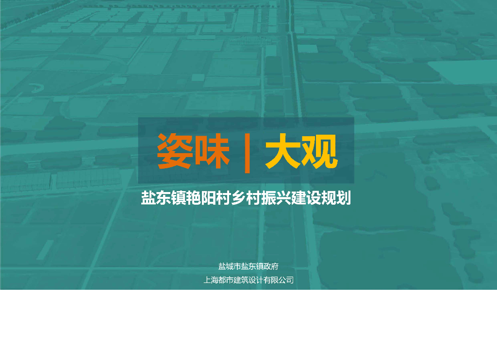 [江苏]某村庄乡村振兴国土空间规划规划PDF