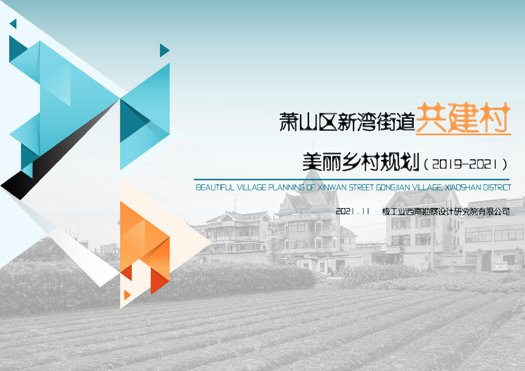 [浙江]杭州新湾街道共建村规划文本设计PDF