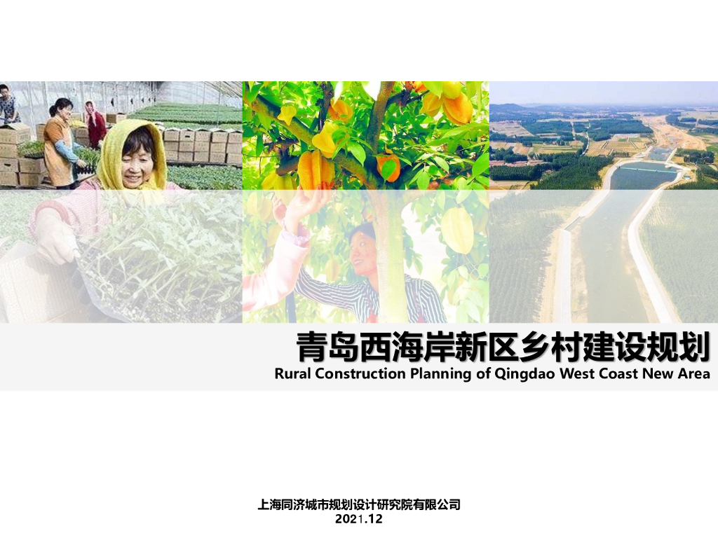 [山东]青岛市某开发区乡村振兴规划设计文本