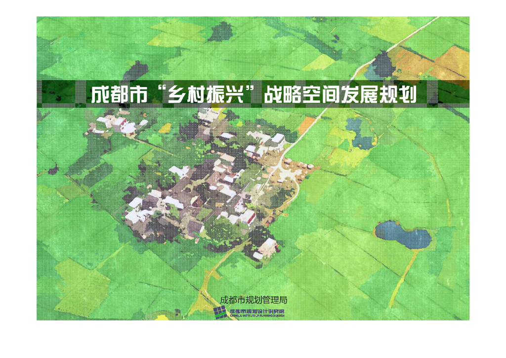 [四川]某城市美丽乡村战略规划设计文本PDF