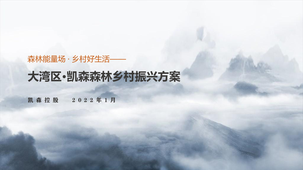 森林桃源梦+山海之间乡村振兴方案文本2022