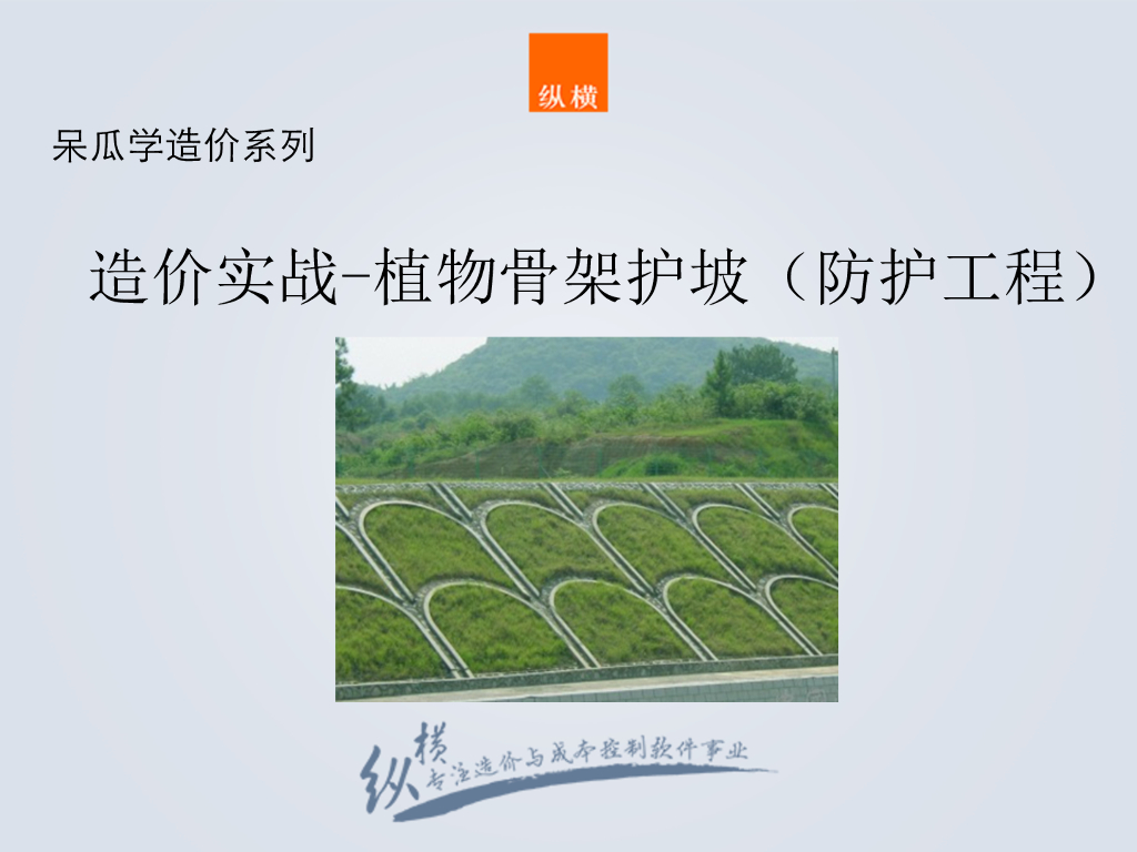植物骨架与锚杆框格护坡防护工程基础知识