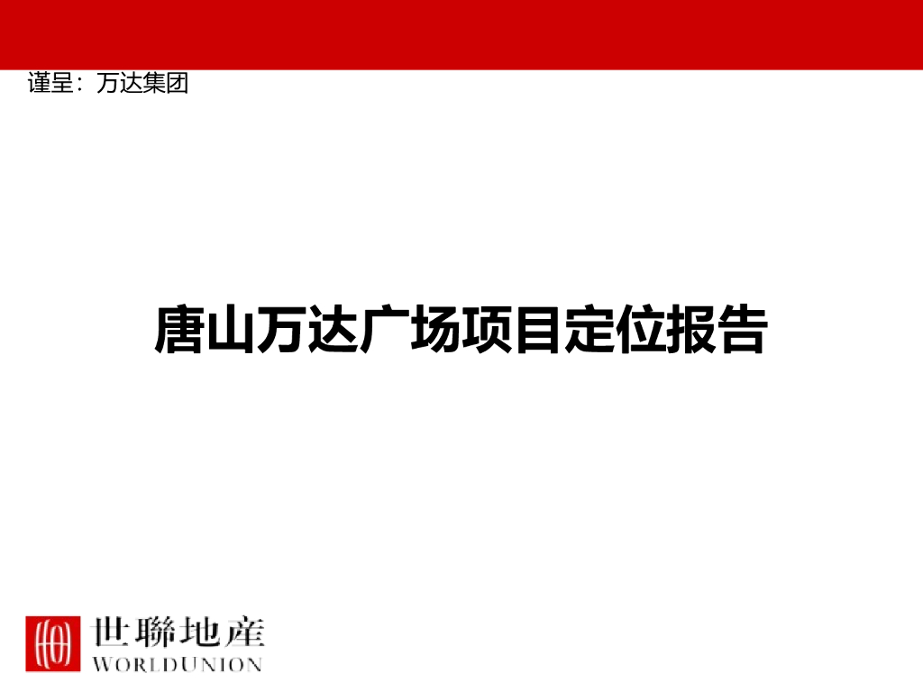 [唐山]广场项目定位报告（160页）