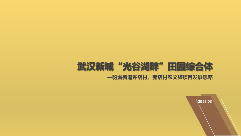 武汉新城光谷湖畔田园综合体项目发展思路