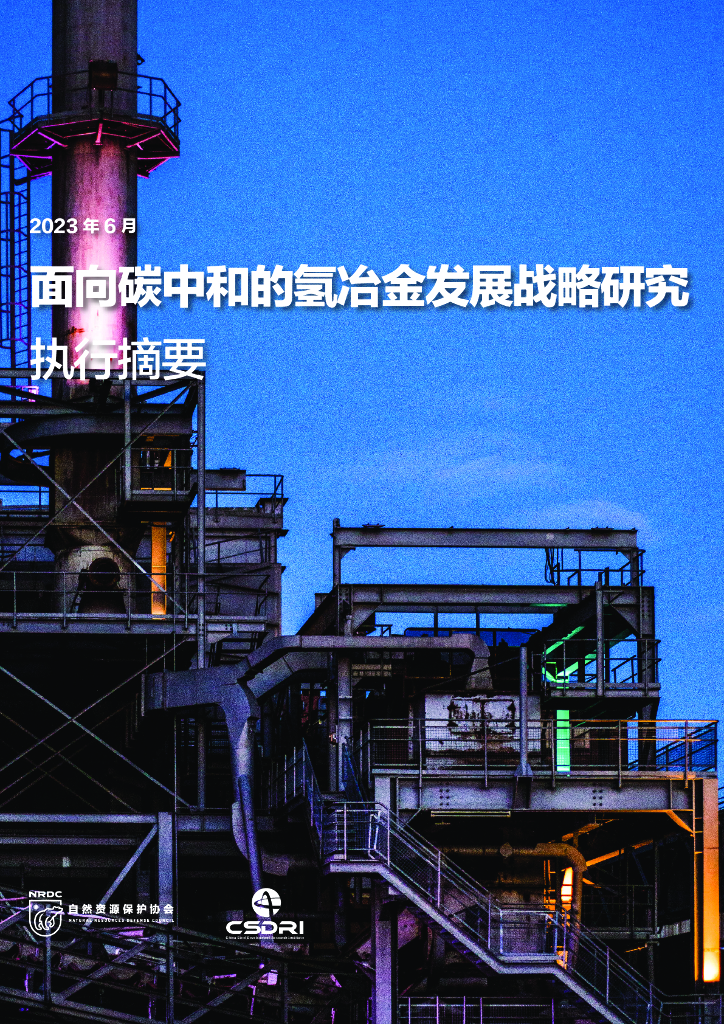 自然资源保护协会：面向<em>碳中和</em>的氢冶金发展战略研究 海报