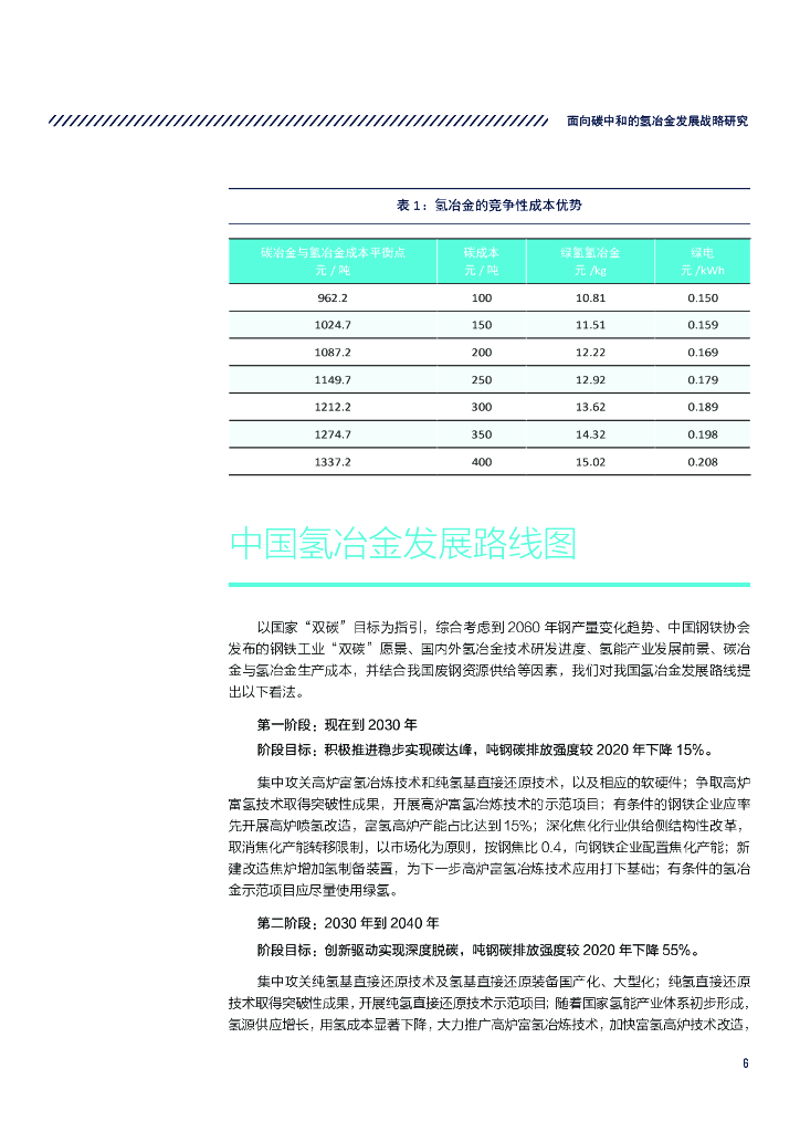 自然资源保护协会：面向碳中和的氢冶金发展战略研究_第9页