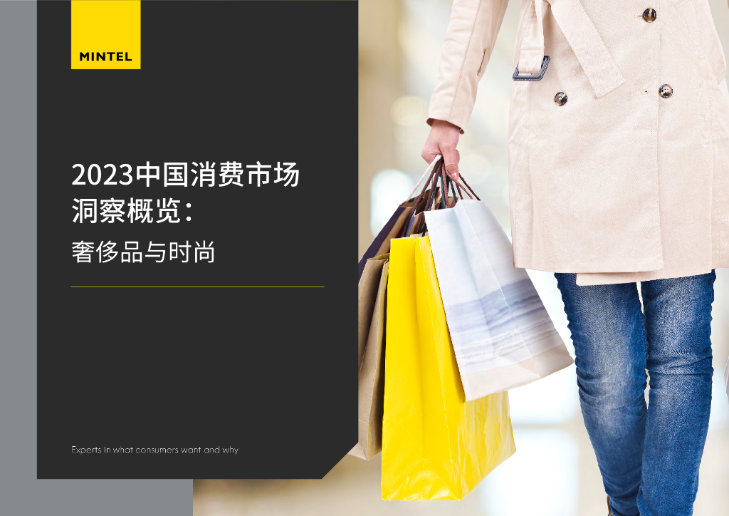 英敏特：2023中国消费市场洞察概览：奢侈品与时尚