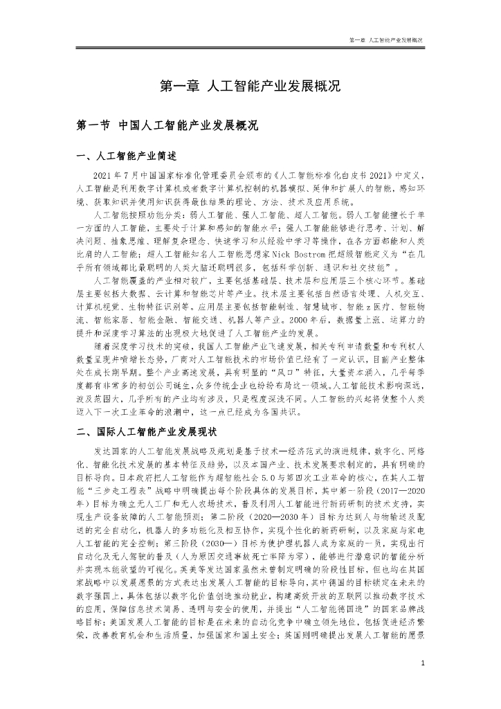 深圳市人工智能行业协会：2022人工智能产业政策研究及法律风险防控白皮书_第6页