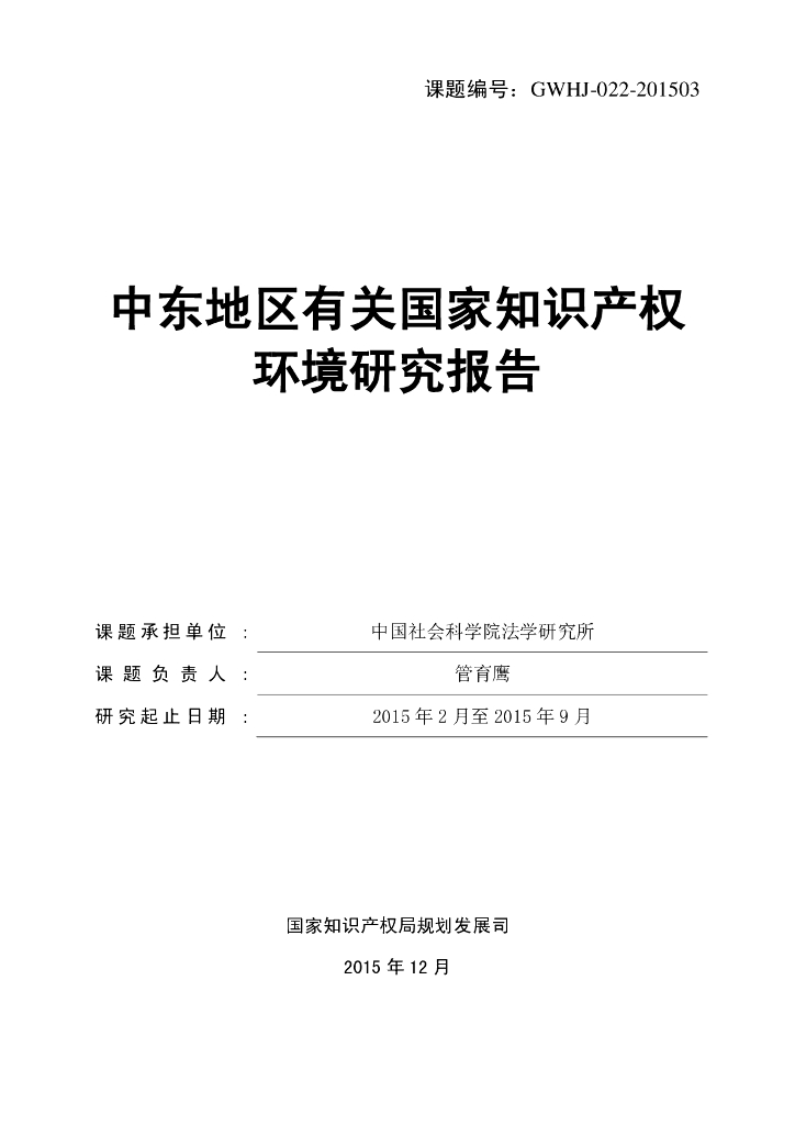 国家知识产权局：中东地区有关国家知识产权环境研究报告