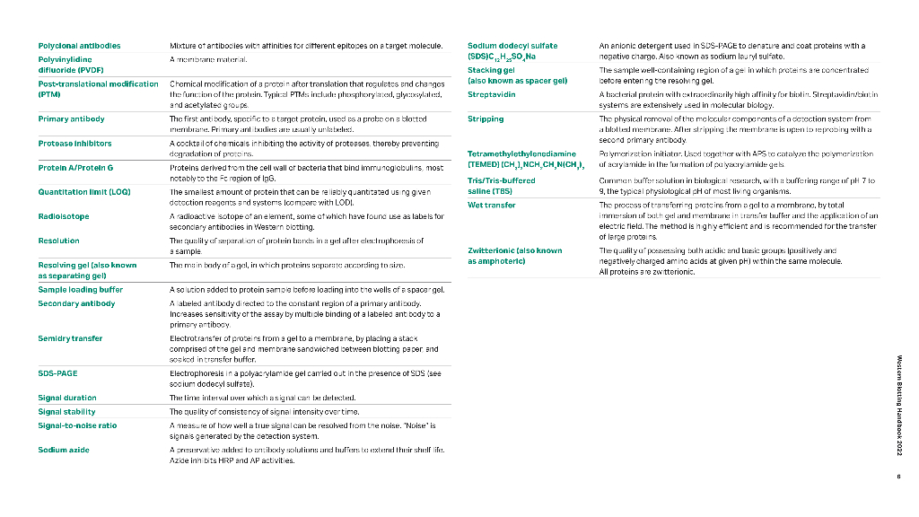 Cytiva思拓凡：Western Blotting原理与方法（英文版）_第6页