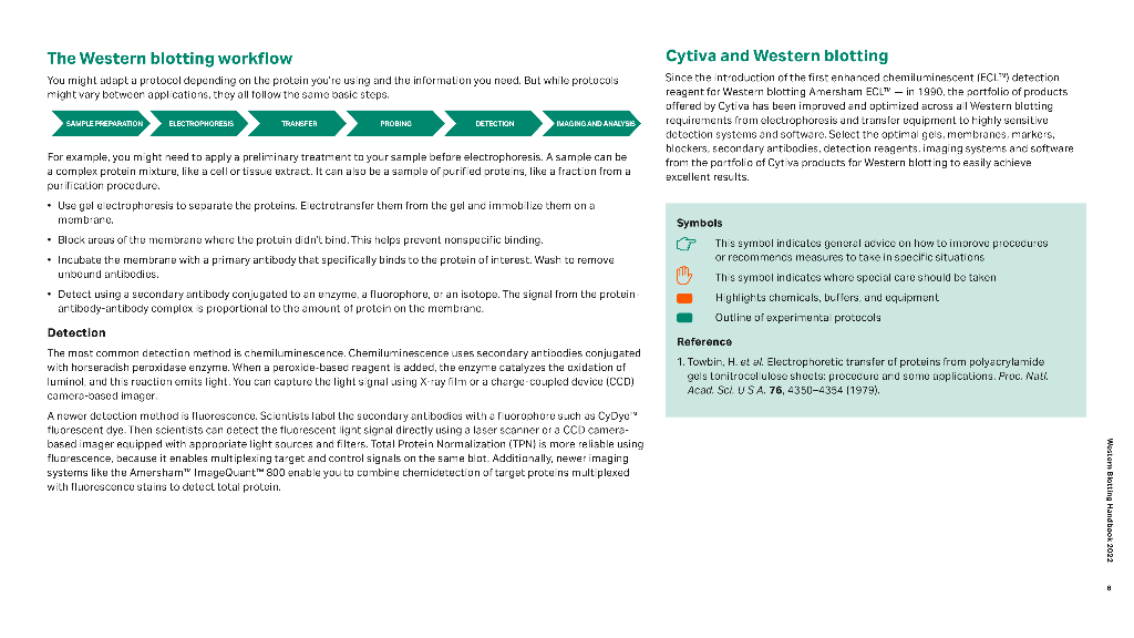 Cytiva思拓凡：Western Blotting原理与方法（英文版）_第8页