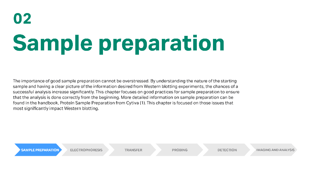 Cytiva思拓凡：Western Blotting原理与方法（英文版）_第10页