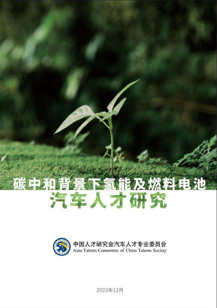 中国人才研究会汽车人才专业委员会：<em>碳中和</em>背景下氢能及燃料电池人才研究报告 海报