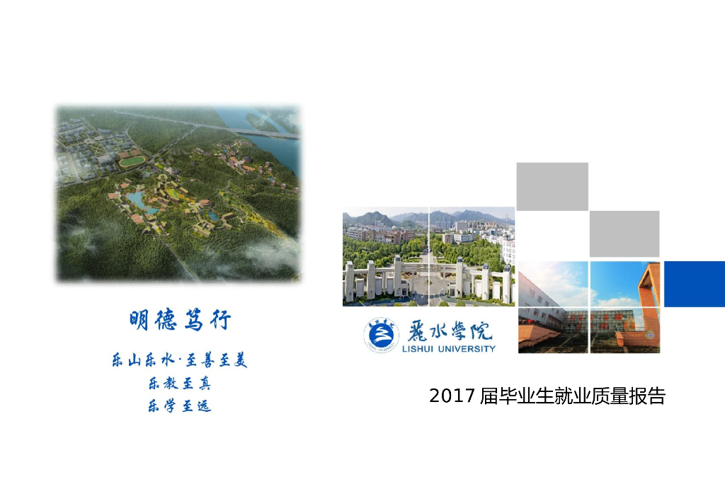 丽水学院2017届毕业生就业质量报告 海报