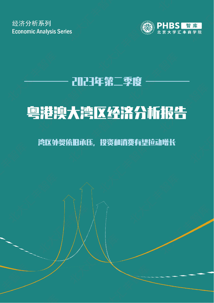 北大汇丰智库：2023年第二季度粤港澳大湾区经济分析季度报告——湾区外贸依旧承压，投资和消费有望拉动增长