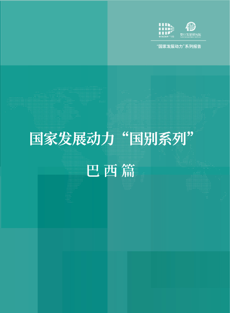 复旦发展研究院：国家发展动力国别系列·巴西篇