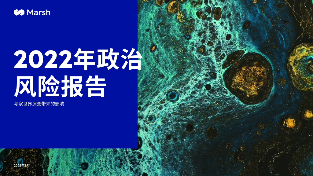Marsh达信：2022年政治风险报告