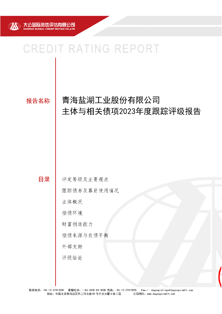 大公：青海盐湖工业股份有限公司主体与相关债项2023年度跟踪评级报告