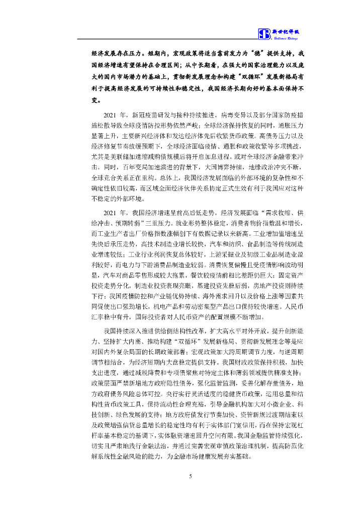 新世纪：华润融资租赁有限公司2022年度第一期绿色中期票据(碳中和债)信用评级报告及跟踪评级安排_第6页