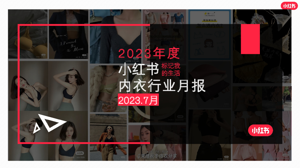 小红书：小红书2023年7月内衣行业月报