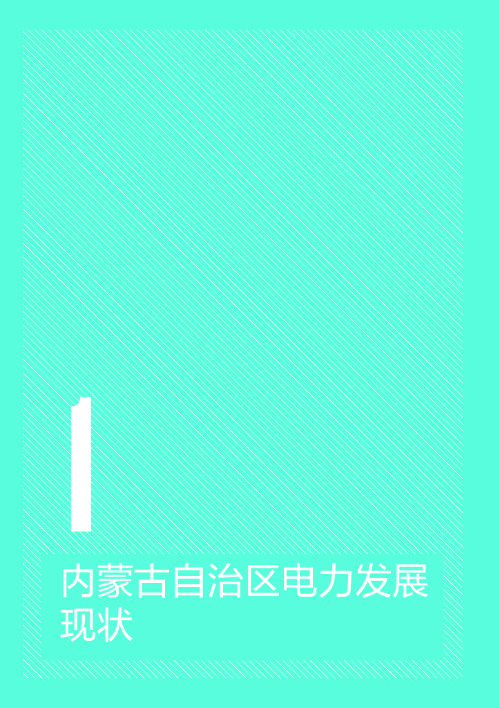 自然资源保护协会：2023碳达峰碳中和目标下内蒙古电力低碳发展研究报告_第6页