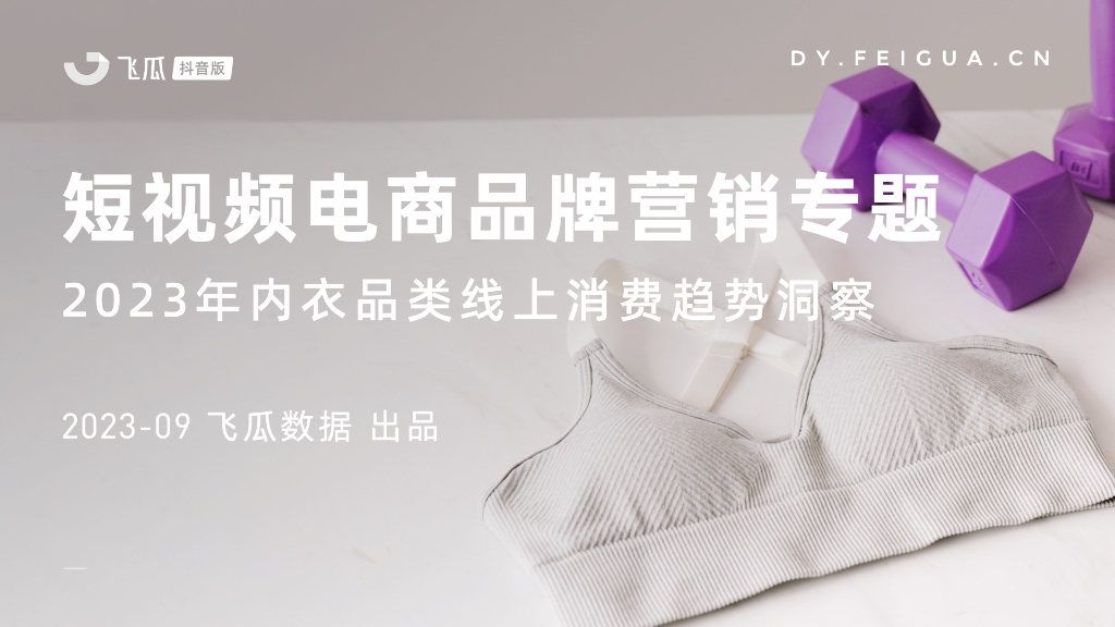 飞瓜：2023年内衣品类线上消费趋势洞察
