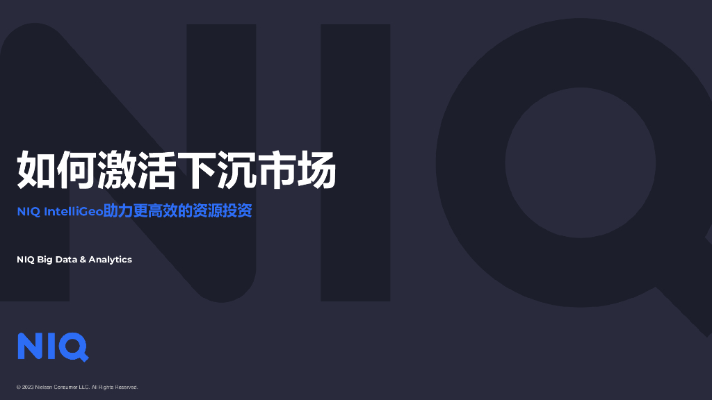 尼尔森IQ：如何激活下沉市场（2023）