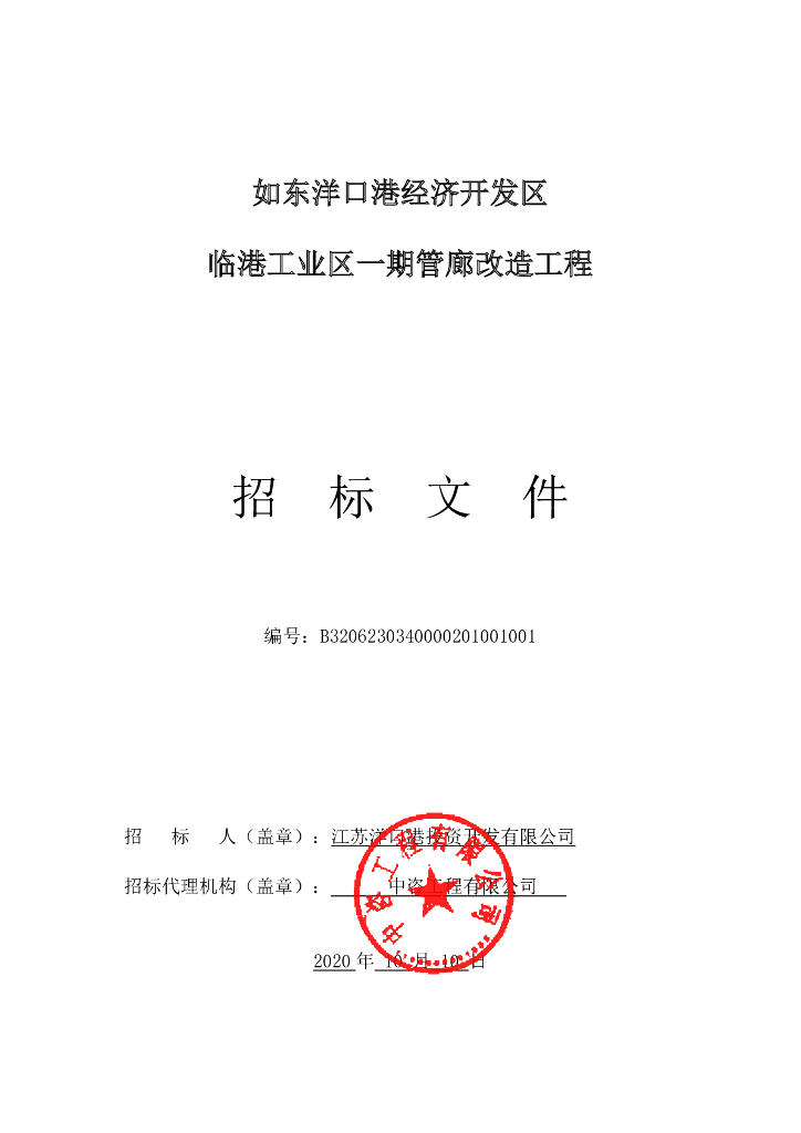 临港工业区管廊改造工程招标文件153p