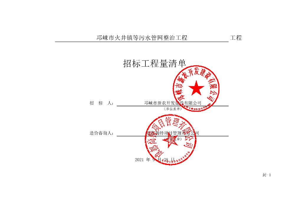 火井镇等污水管网整治清单案例376P