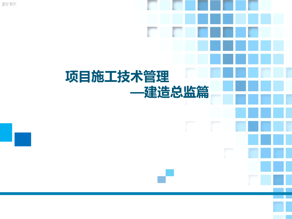 建造总监项目施工技术管理（69页）