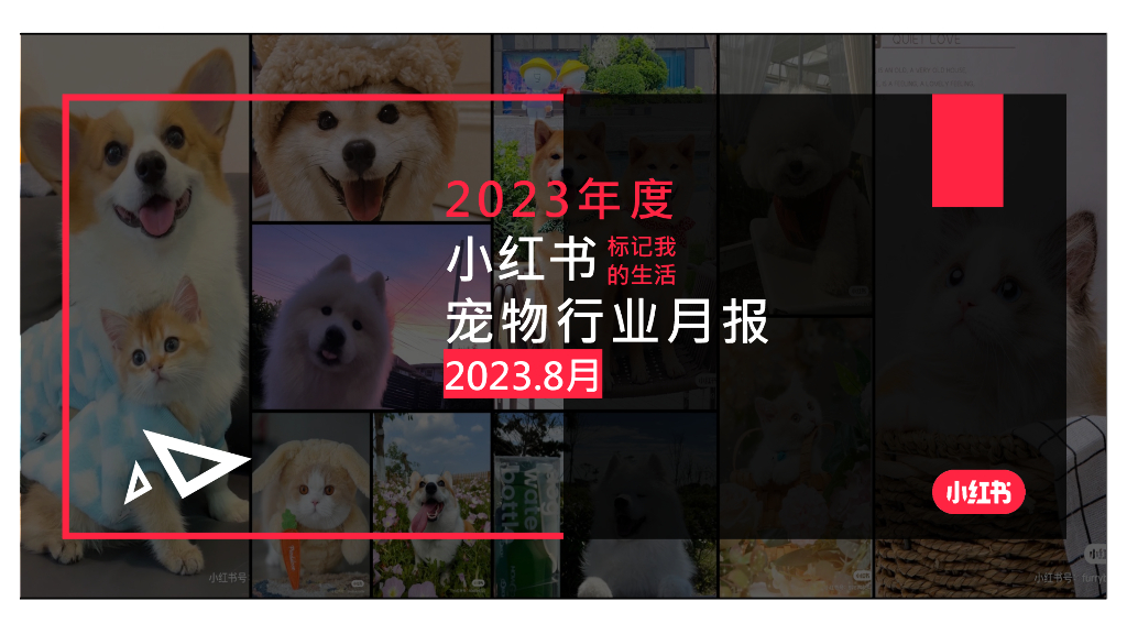 小红书：小红书2023年8月宠物行业月报